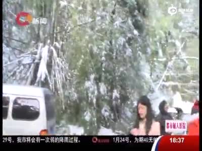 重庆女子登山赏雪景 下山途中被断裂大树砸死