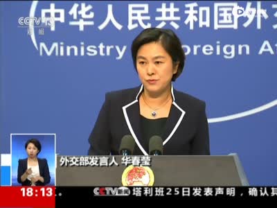 外交部回应“南海问题支持中国的都是小穷国”
