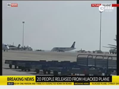 外媒:埃及一架客机被劫持 机上20名乘客被释放