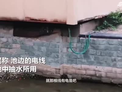 郑州景观池8岁男童触电身亡 疑因“裸线”惹的祸