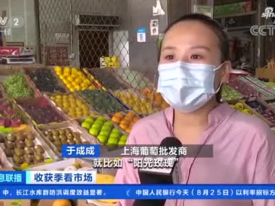 低至五六元一斤！上海：葡萄集中上市 价格普遍下跌