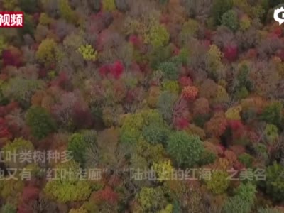 航拍吉林红石国家森林公园壮观秋景