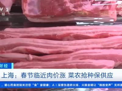 上海:春节临近肉价有所上涨 菜农抢种保供应