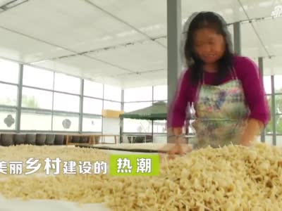 “三农品鉴官探乡村”宣传片，时长约30秒