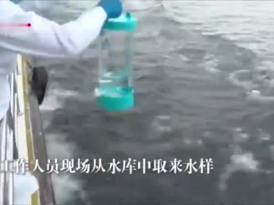 视频丨习近平察看丹江口水库：水质看着不错