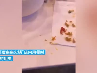 眉山签佰度串串火锅店被指调料碟内有蛆虫，市监局介入调查