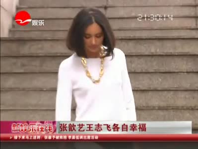 张歆艺王志飞各自幸福