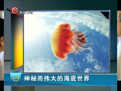 《午间道》 神秘而伟大的海底世界