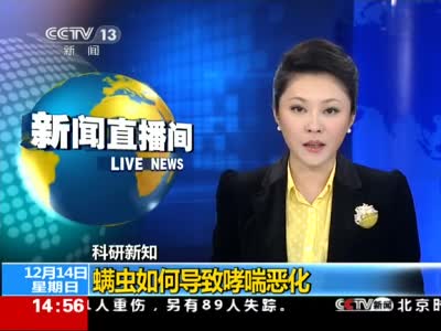 螨虫如何导致哮喘恶化