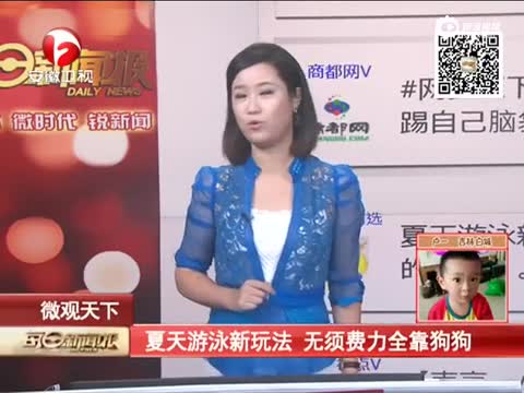 《每日新闻报》 夏天游泳新玩法 无需费力全靠狗狗