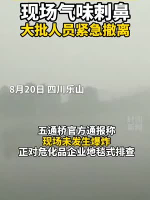 视频|乐山五通桥化工厂疑似泄露、异味浓烟弥散 正地毯式排查