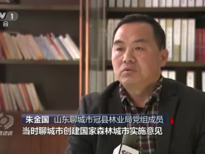 央视曝光后，山东连夜成立三级调查组