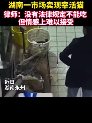 律师谈市场卖活猫现场宰杀:没有法律规定不能吃 但情感上难以接受