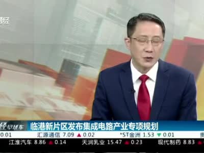 上海临港新片区发布集成电路产业专项规划 规模突破1000亿