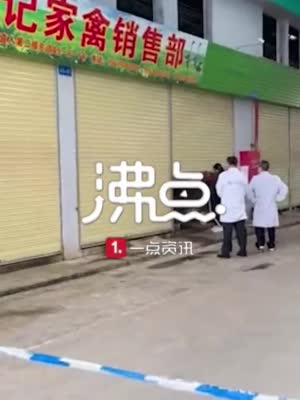 广东江门通报黑市贩猫事件：已对猫咪进行查扣并追查来源