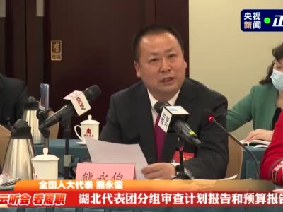 云听会 看履职丨关注民生福祉 聚焦乡村振兴 湖北团基层代表们的建议都很接地气