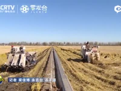 永吉县万昌镇7000余公顷水稻喜获丰收