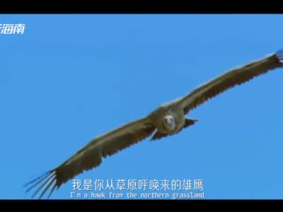 音乐故事MV《我的心紧贴你》倾情上线