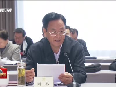 住豫全国政协委员讨论“两高”报告