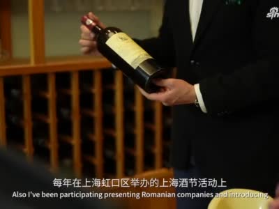 罗伯特·米特罗芬：中国将继续保持政治稳定，这将能更好地促进经济发展 | 老外讲故事·另眼观盛会⑧