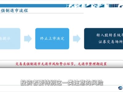 第十期 上交所交易类强制退市