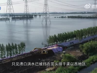 战洪峰 防洪灾 保安全 保稳定｜探访王口镇：他们与时间赛跑 携手与洪水对抗